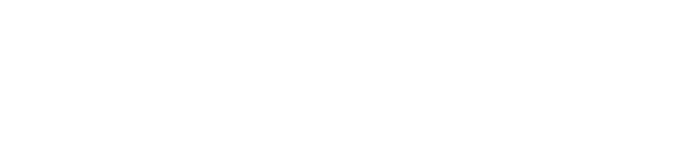 Elevion